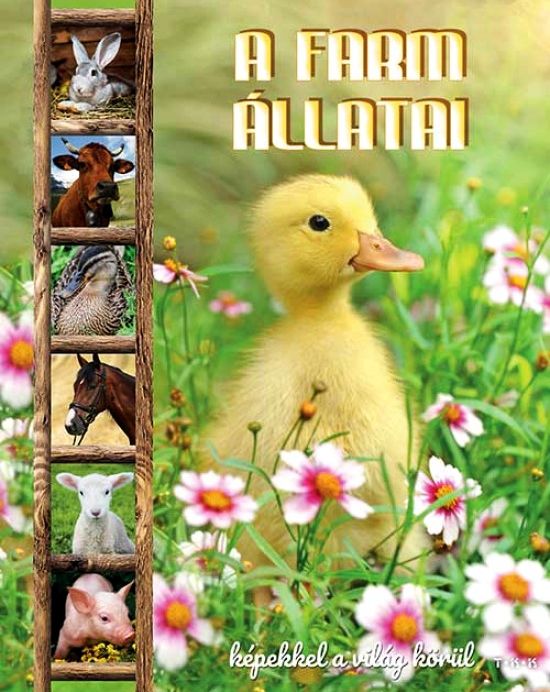 A farm állatai - Képekkel a világ körül